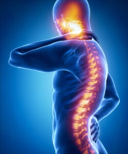 New Research in Spinal Cord Injury